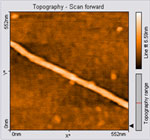 Carbon nanotube